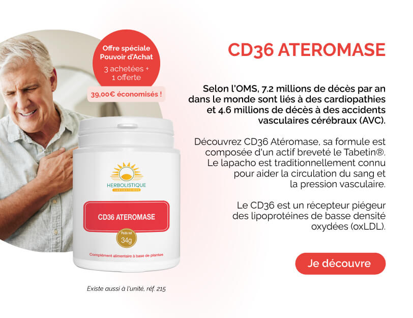 Gemo chemille discount